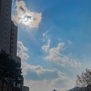 (주)유성렌트카 이미지