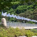 미리내캠프 이미지