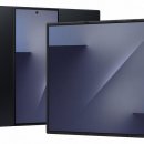 Team BL (No Boxing No Life) 이미지