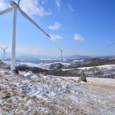 농소중학교 이미지