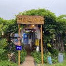 성산포 | 제주 성산 회 센터 회 포장 및 한치 물회 맛집 후기 [성산포수협 활어회센터, 떠돌이 식객]