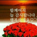 어등하이빌 이미지