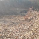 앙성초 영죽분교 이미지