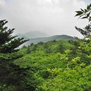 봉남민박 | 의신~산태골~토끼봉남릉~뒷당재~의신