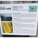 용두산 청과 이미지