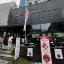 강남역 맥주 와인 하이볼 주류 무제한 안주 맛집 모임 하기 좋은 술집 비어룸 후기