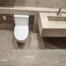 파레스빌 이미지