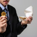 테라벤처스 이미지