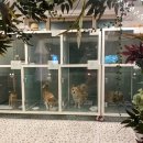 미스터멍 이미지