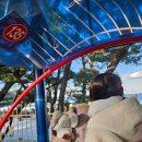 삼척시 평생학습관 주차타워 | 삼척중앙시장맛집 여행길에 들렸던 횟집 신선회수산식당 포장 후기