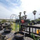 하이까미 이미지