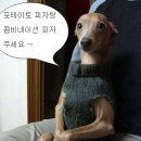 빨간모자 이미지