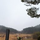 람사르습지길 이미지