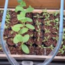 용미농장 이미지