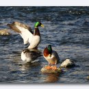 한양대 앞 이미지