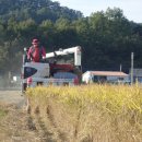 삼광농장 이미지