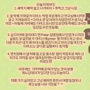 원지제방길R | 친구 없어 인간의 2026 인천 펜타포트 락 페스티벌 솔플 후기