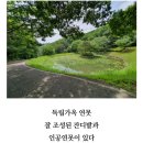영동/월이산~옥계폭포(월류봉 여울소리길) 이미지