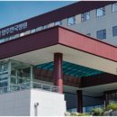 손두부촌 이미지