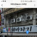 푸른농장해바라기 이미지