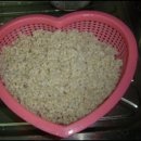 옛날꽁보리밥 이미지