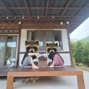 유포리나의집 | 유포리나의집 주말여행 후기