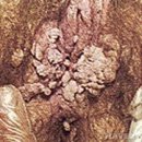 하늘산부인과의원 이미지