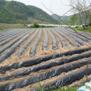 서강농장 이미지