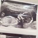 채움산부인과의원 이미지