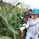 두억행복드림마을 이미지