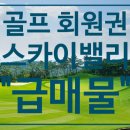 호반스카이밸리주식회사 네이버블로그