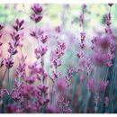 온화한의원 이미지