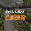 올되다 농장