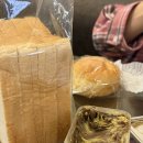 꼬치피다 | 정작 여행지 고른사람은 같이 여행 못간 양김자매 일본 소도시 다카마쓰여행 ⑶