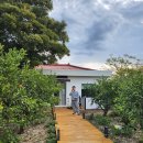 서윤의숲길 이미지