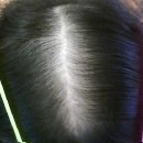 제이드의원 이미지