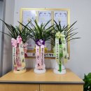 청담 행정사사무소 이미지