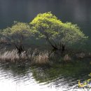 나무테크 이미지