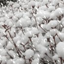 진성전자 이미지