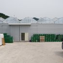 김종길 농장 이미지