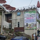 펫빌리지 이미지