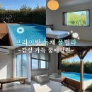 꿈에정원 | 부산근교 양산 독채 풀빌라 꿈에정원B타입 단체감성숙소