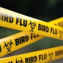 원천부화장 이미지