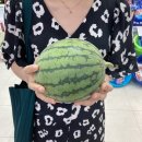 나비골농협하나로마트대동점 이미지
