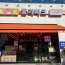 폴리파크 목포점 | [강아지편집샵] 목포 애견용품점에 강아지용품 가득! 폴리파크 목포점