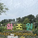 제주 화조원｜아이들과 새 친구들을 만나다 🦅🌼
