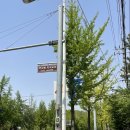 국사봉 지석묘군 이미지