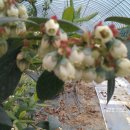 성찬농장 이미지