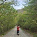 선리농장 | 울산 영남알프스 간월재 신불산 간월산 코스(사슴농장), 버스타고 간월재가는법