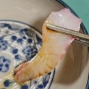 공주상회 | 노량진 수산시장 돌돔 회 먹기 좋은 공주 상회 탐방 후기!! (feat. 온누리 상품권)